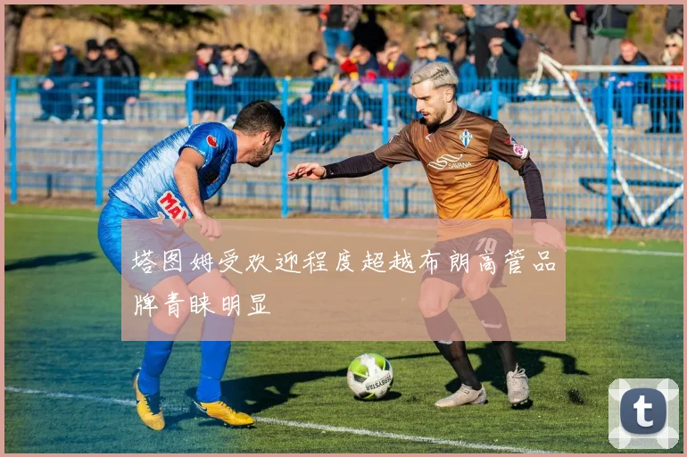 塔图姆受欢迎程度超越布朗高管品牌青睐明显